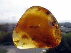 Large Unique Smooth Honey Amber Piece