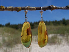 Honey Amber Earrings with Inclusions