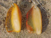 Slab Baltic Honey Earrings